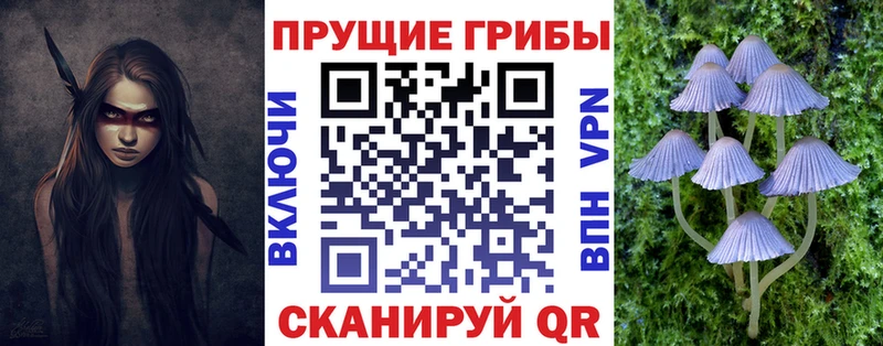 Псилоцибиновые грибы мухоморы  продажа наркотиков  Адыгейск 